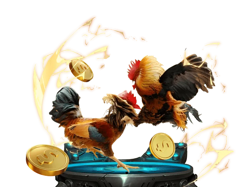 Vị thế thương hiệu ku11net